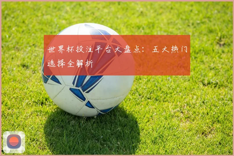 世界杯投注平台大盘点：五大热门选择全解析